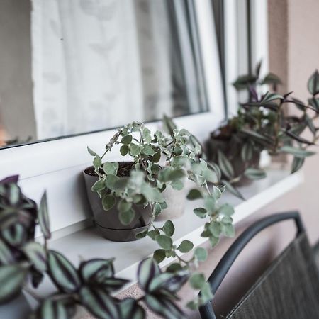 Apartman Centar Doboj Esterno foto