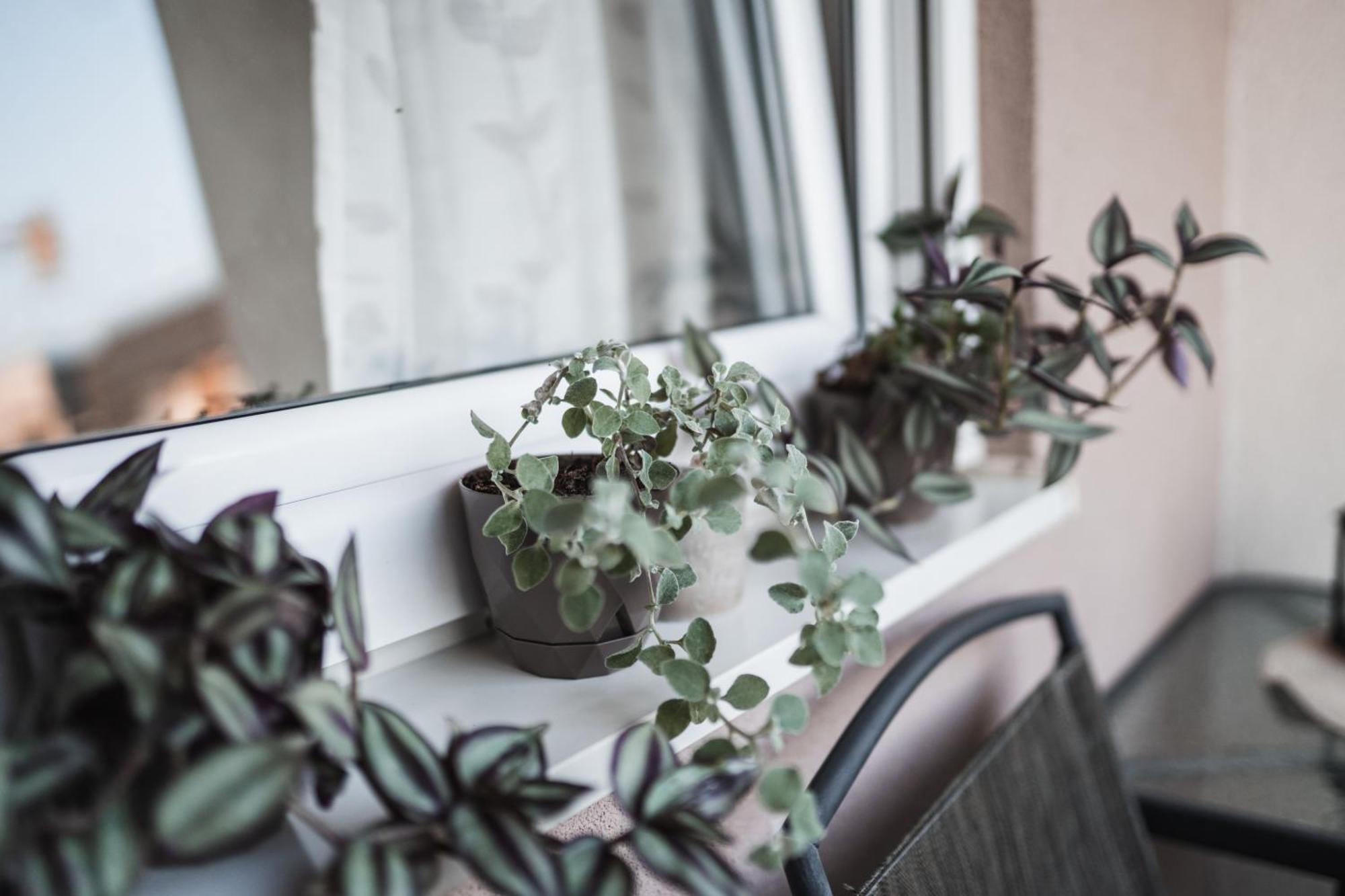 Apartman Centar Doboj Esterno foto